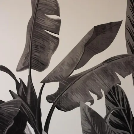 Tropical Boutique Lägenhet Gallipolli